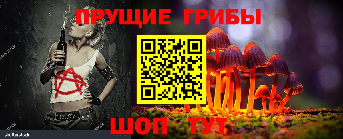 закладки  Вход с VPN  Владимир  Галлюциногенные грибы мухоморы 